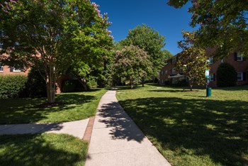 The Park at Arlington Ridge
